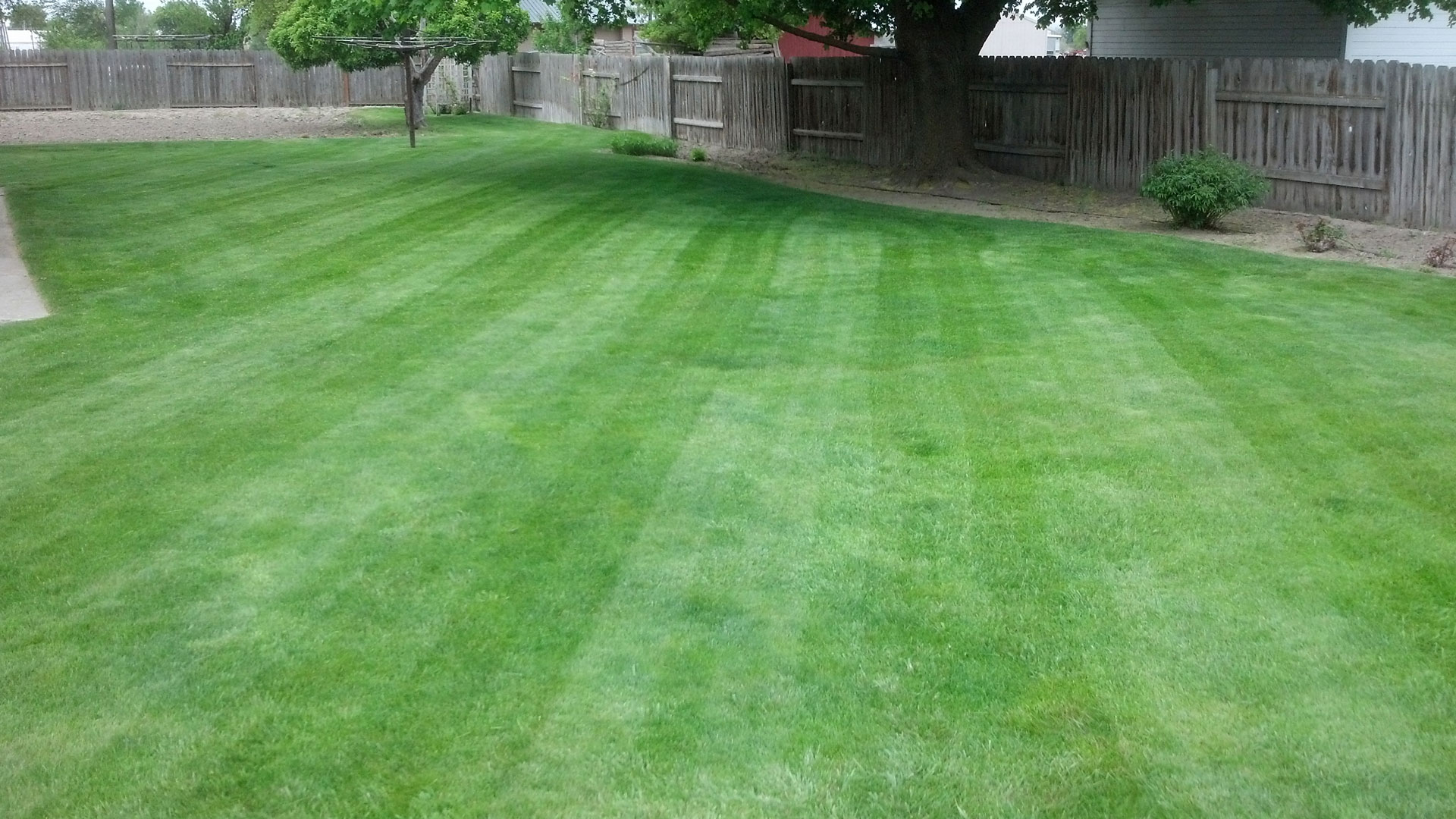 Twin Falls Fertilization